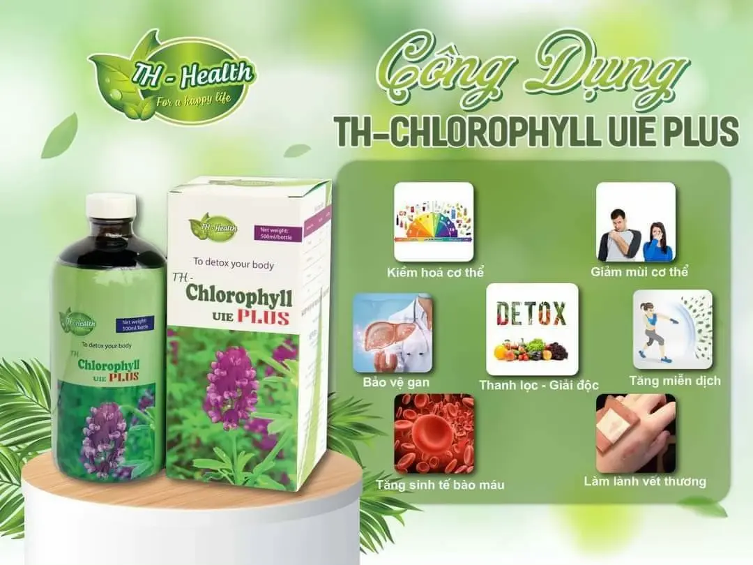 Công dụng của Diệp lục Th Health - Chlorophyll UIE PLUS với cơ thể