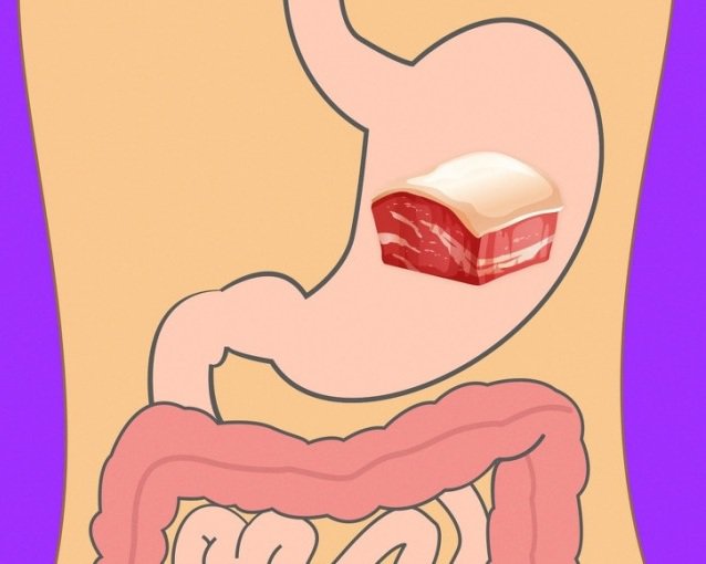 Enzyme Trypsin: Những điều cần biết