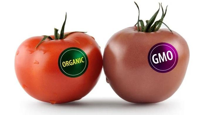 gmo