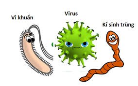 Ngộ độc thực phẩm có lây không