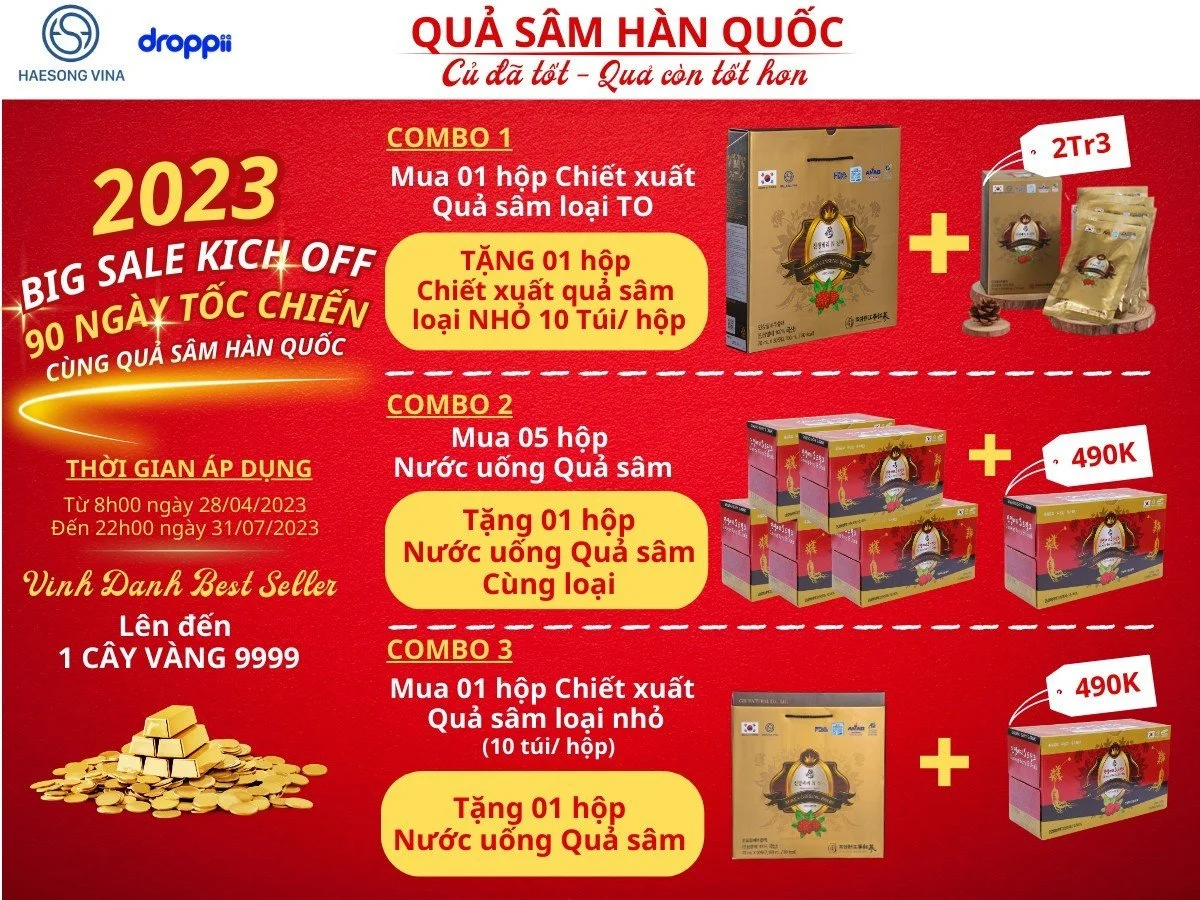 Khuyến mãi Chiết xuất Quả nhân sâm Hàn Quốc và Nước uống Quả nhân sâm Haesong Vina chính hãng giá tốt - Kuchen Vietnam