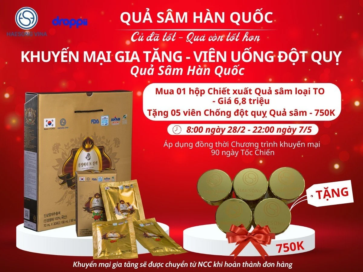 Khuyến mãi gia tăng mua Chiết xuất Quả nhân sâm Hàn Quốc tặng viên uống đột quỵ quả sâm Hàn Quốc Haesong Vina chính hãng giá tốt - Kuchen Vietnam