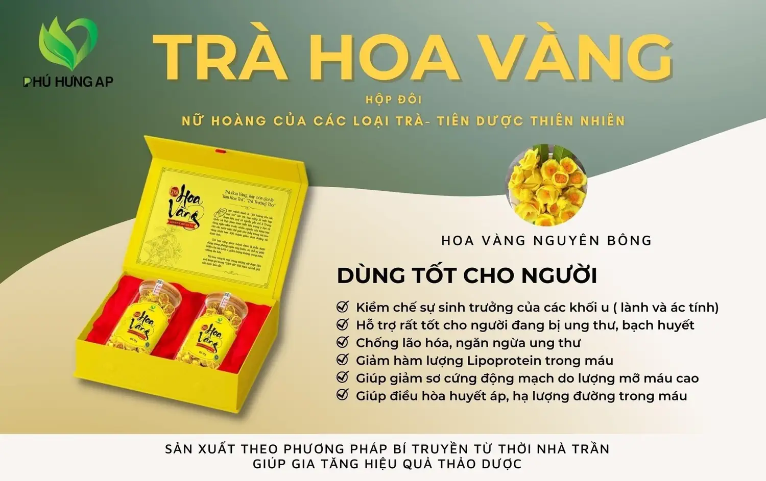 Thành phần và công dụng trà hoa vàng Phú Hưng AP - Kuchen Vietnam